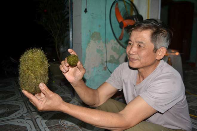 Xôn xao “vật thể lạ” nghi cát lợn nặng 1,5 kg ở Hải Dương - 3