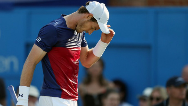 Tin thể thao HOT 27/6: Murray dính chấn thương trước Wimbledon - 1