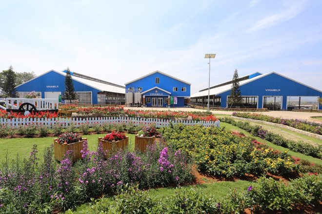 Vinamilk mang đến diện mạo mới cho Thủ đô với dự án chăn nuôi bò sữa công nghệ cao - 2