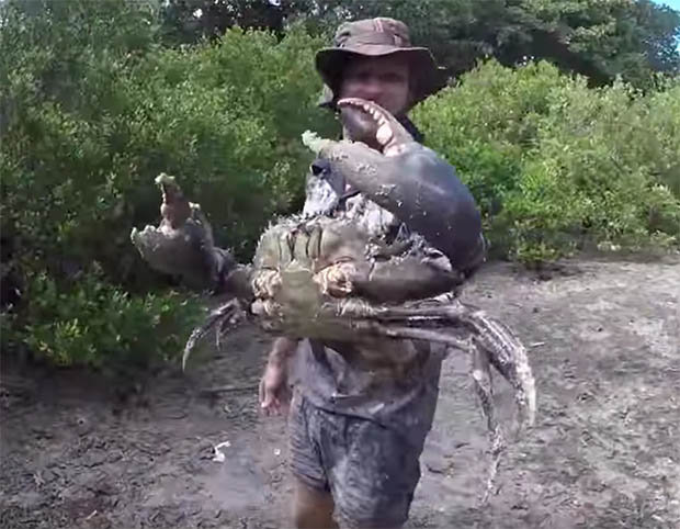 Video: Mạo hiểm mò xuống hố sâu, bắt “quái vật” khổng lồ - 2