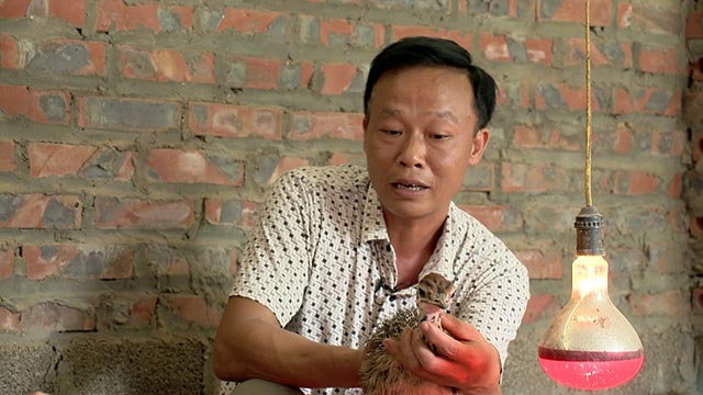 Những "cô nàng" chân dài mang doanh thu 2 tỷ đồng/lứa cho ông chủ - 2