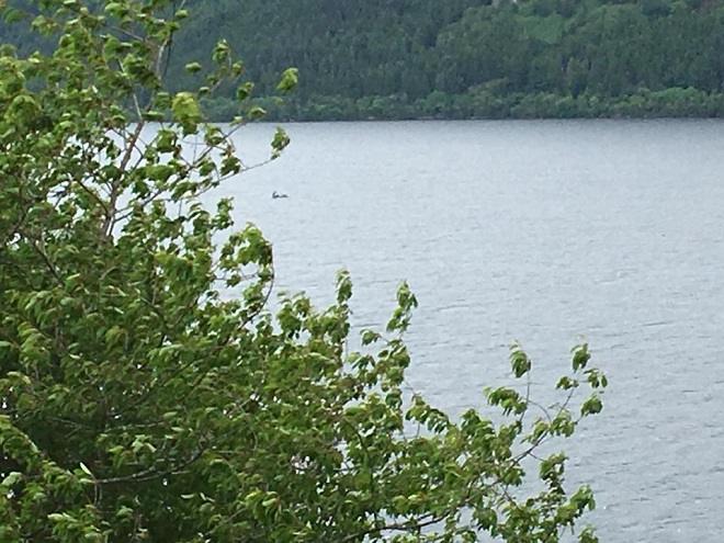 Phát hiện “quái vật hồ Loch Ness” di chuyển nhanh, xuôi dòng nước? - 1