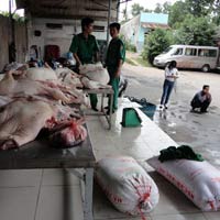 Thị trường - Tiêu dùng - Bắt không xuể thịt heo tai xanh