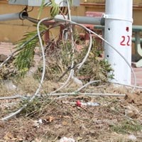 Tin tức trong ngày - Cứu nhau, hai vợ chồng bị điện giật chết thảm