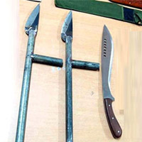 Pháp luật - Bi kịch bố thuê giang hồ xử con ruột