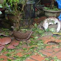 Tin tức trong ngày - Bị ném mìn vào giữa sân đêm chung kết Euro