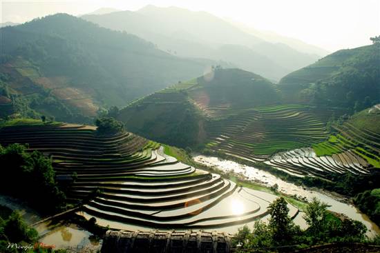 Mù Cang Chải đẹp ngỡ ngàng mùa nước đổ - 6