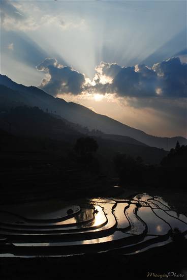 Mù Cang Chải đẹp ngỡ ngàng mùa nước đổ - 13