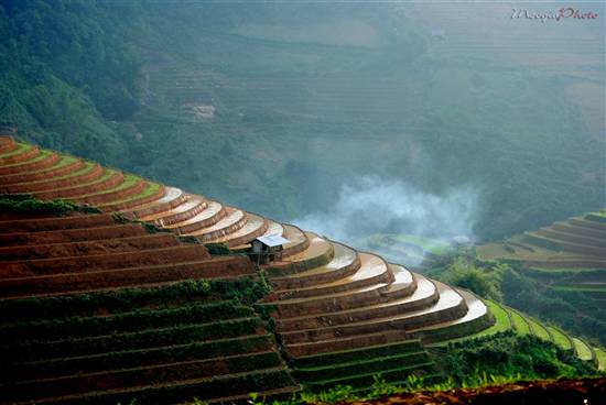 Mù Cang Chải đẹp ngỡ ngàng mùa nước đổ - 9