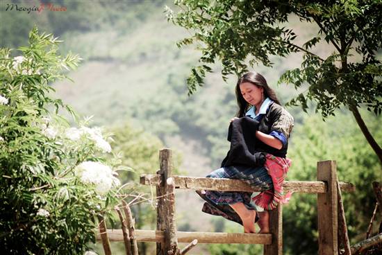 Mù Cang Chải đẹp ngỡ ngàng mùa nước đổ - 17