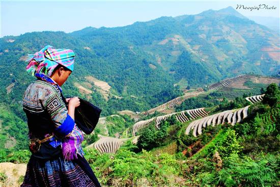 Mù Cang Chải đẹp ngỡ ngàng mùa nước đổ - 18