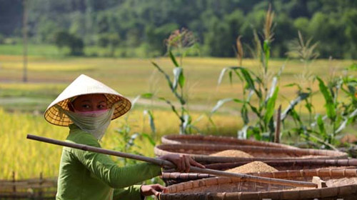 Bản nghèo sau "cơn bão trắng” - 2
