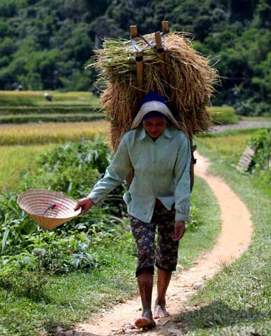 Bản nghèo sau "cơn bão trắng” - 3