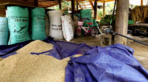 Bản nghèo sau "cơn bão trắng” - 6