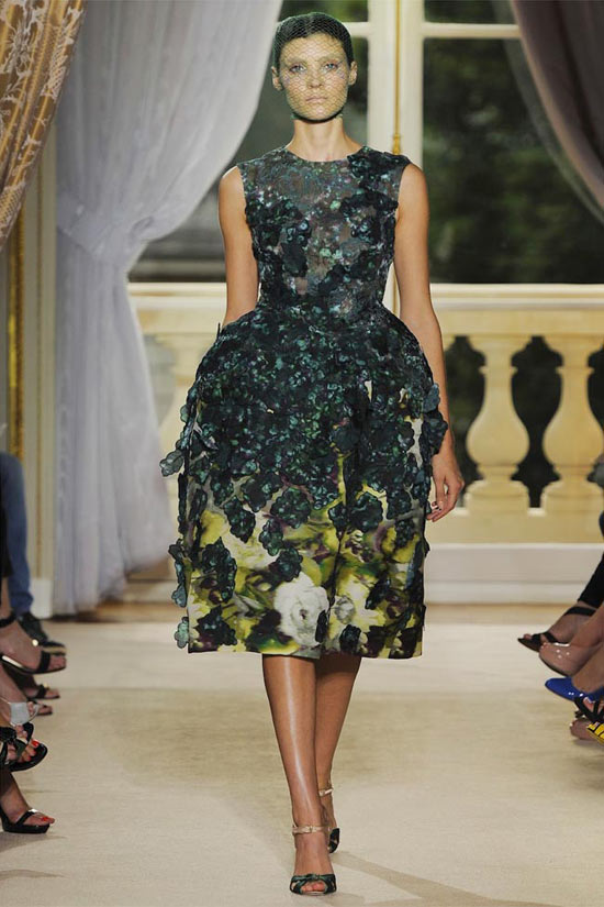 Lạc bước vào khu rừng ong bướm mơ mộng - 14