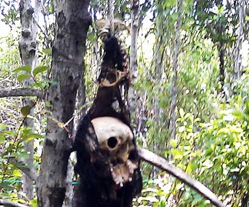 3 cái chết ở đầm tôm: Hiện trường “lên tiếng” - 2