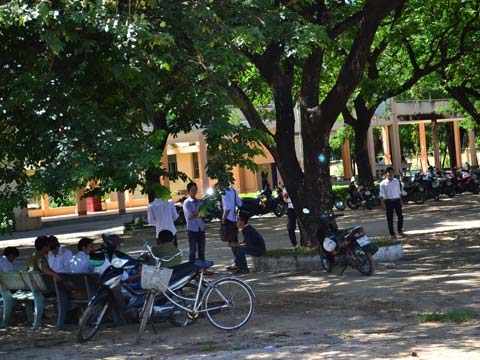 Xuất hiện bài giải đề thi giả - 8
