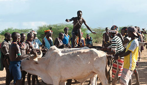Khỏa thân chơi trò nhảy... bò - 6