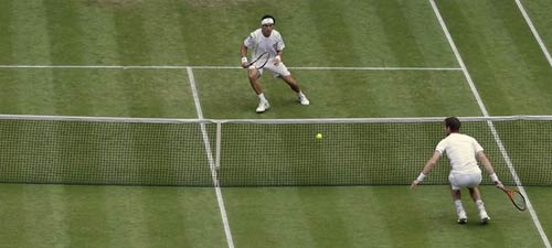 Murray – Ferrer: Siêu kịch tính (Video tennis, Tứ kết Wimbledon) - 1