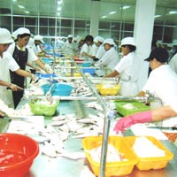 Tin Đà Nẵng - Đường dây nóng gỡ vốn cho doanh nghiệp