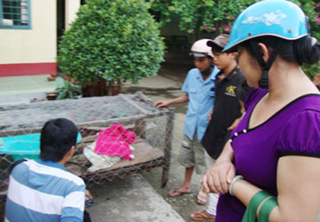 Xôn xao tin “rồng tái thế” ở Bến Tre - 2
