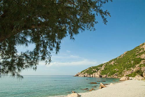 Say cảnh tuyệt sắc trong vịnh Cam Ranh - 7