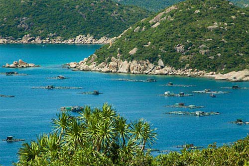 Say cảnh tuyệt sắc trong vịnh Cam Ranh - 6