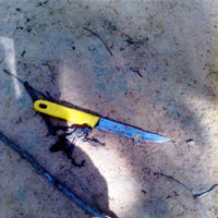 Pháp luật - Vung dao giết em ruột; bạn nhậu giết nhau