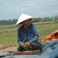 Tin tức trong ngày - Xã có 500 cán bộ: Bộ Nội vụ vào cuộc