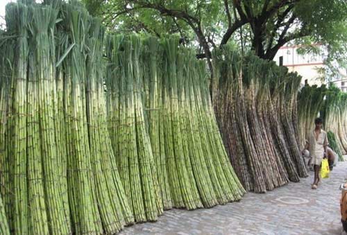 Những hàng XK nổi tiếng của các nước nhỏ - 6