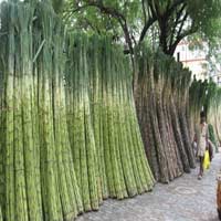 Thị trường - Tiêu dùng - Những hàng XK nổi tiếng của các nước nhỏ