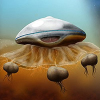 Phi thường - kỳ quặc - Người ngoài hành tinh trông giống sứa?