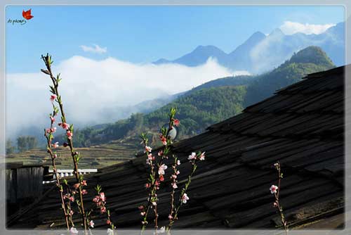 Sapa quyến rũ trong mây - 5
