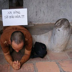 Tin vịt vụ Dự án thay rùa giả ở Văn Miếu