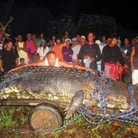 Tin tức trong ngày - Ngắm cá sấu lớn nhất thế giới