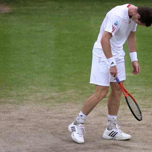 Federer – Murray: Lịch sử ghi danh (Video Wimbledon) - 1