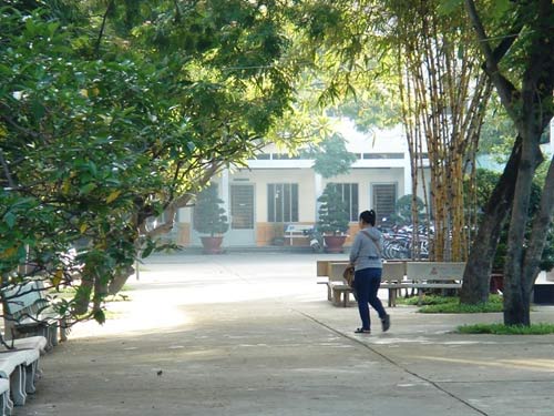 Đưa "thảm họa thần tượng" vào đề Văn - 13