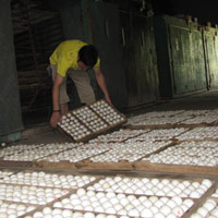 Thị trường - Tiêu dùng - "È cổ" đóng phí trứng gà