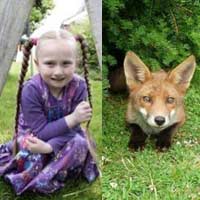Phi thường - kỳ quặc - Tiếng gọi cáo kỳ lạ của cô bé 7 tuổi