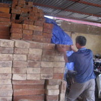 Tin tức trong ngày - Lợi nhuận ngang ma tuý, "máu" rừng vẫn chảy