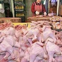 Thị trường - Tiêu dùng - Quay lưng với gà Trung Quốc