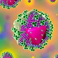 Tin tức trong ngày - Ca HIV được chữa khỏi đầu tiên trên thế giới