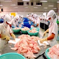 Thị trường - Tiêu dùng - Một cổ ba tròng, cá tra bế tắc