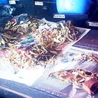 Sức khỏe đời sống - Mang họa vì "thần dược" gia truyền