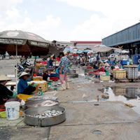 Thị trường - Tiêu dùng - Bán đến trưa, chợ đầu mối vẫn ế