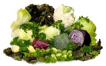 Thần dược bảo vệ sức khỏe phụ nữ - 3