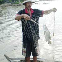 Ẩm thực - Ngon "nhất xứ" với cá chẽm hấp