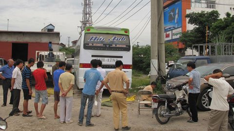 Rắn hổ mang trườn bò trong xe khách - 2