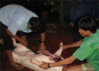 Thị trường - Tiêu dùng - ĐBSCL: Con heo “cõng” hàng chục loại phí