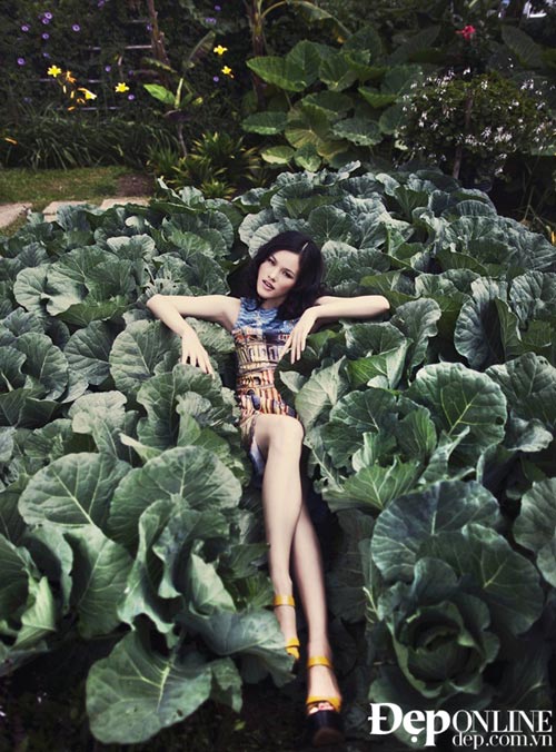 Tuyết Lan rạng rỡ trước khi đi Mỹ - 4